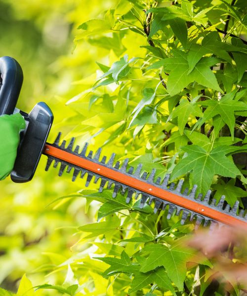 A person in green gloves is using a hedge trimmer