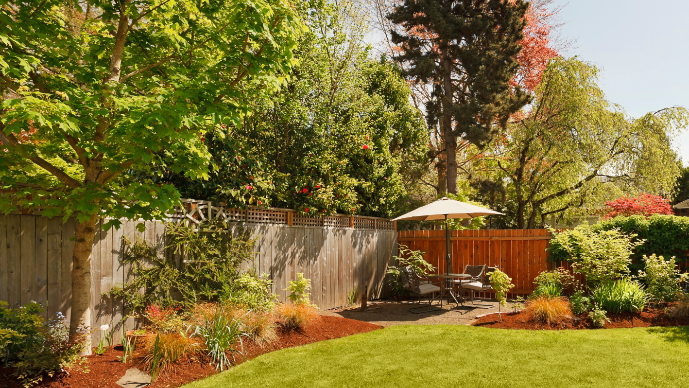 A backyard with a wooden fence and green grass